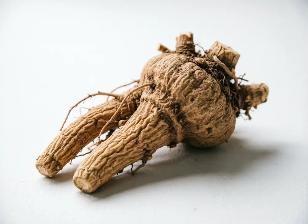 Ashwagandha (Indian Ginseng)