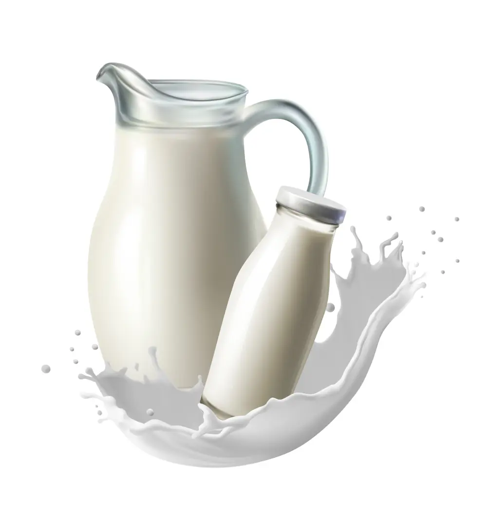 Whole Milk