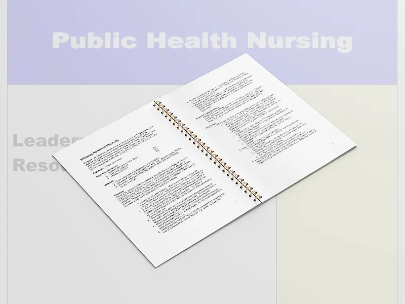 Download the Public Health Nursing : Leadership Guide and Resource Manual" PDF prepared by Massachusetts Association of Public Health Nurses.